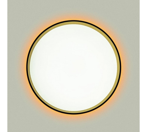 Накладной светильник Citilux ETALON CL750321R