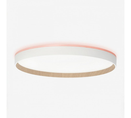 Накладной светильник Citilux ETALON CL750400R