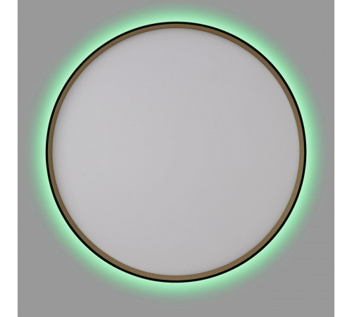 Накладной светильник Citilux ETALON CL750501R