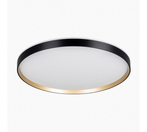 Накладной светильник Citilux ETALON CL750501R