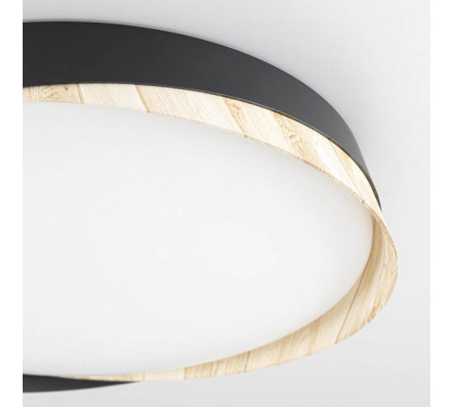 Накладной светильник Citilux BONNY CL754351G