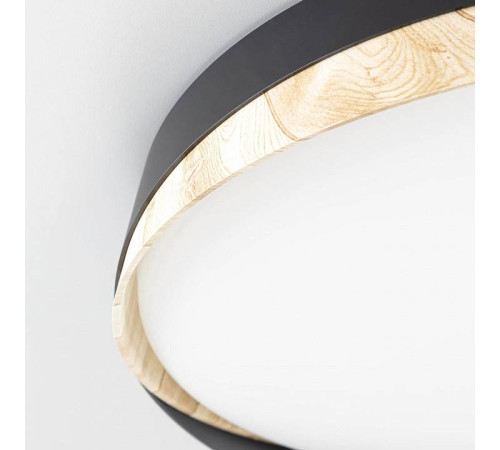 Накладной светильник Citilux BONNY CL754351G