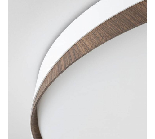 Накладной светильник Citilux BONNY CL754450G