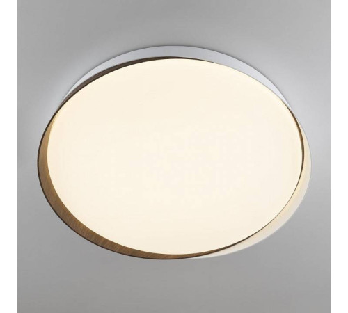 Накладной светильник Citilux BONNY CL754450G