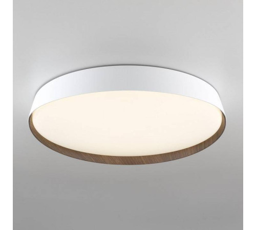 Накладной светильник Citilux BONNY CL754450G