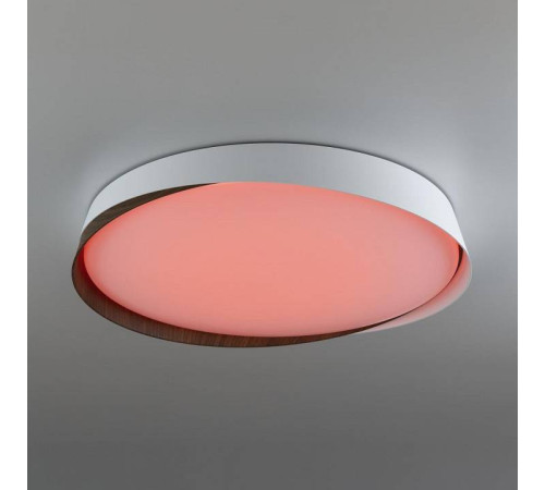 Накладной светильник Citilux BONNY CL754450G