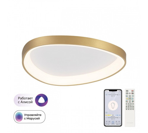 Накладной светильник Citilux GENKA SMART CL756A142