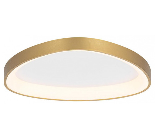 Накладной светильник Citilux GENKA SMART CL756A142