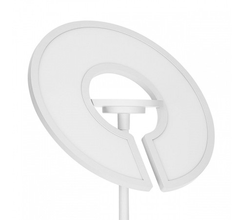 Торшер Citilux LOONG CL810030