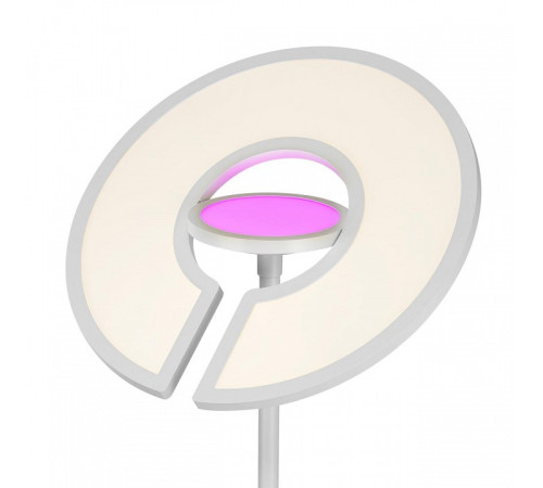 Торшер Citilux LOONG CL810030