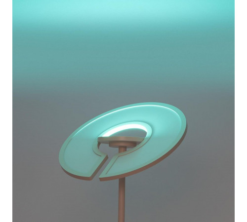 Торшер Citilux LOONG CL810030