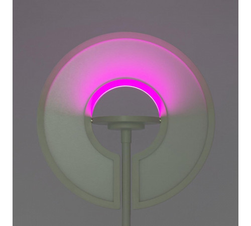 Торшер Citilux LOONG CL810030