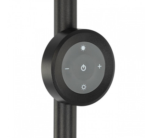 Торшер Citilux LOONG CL810031