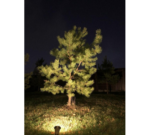 Наземный низкий светильник Covali SP-33005