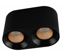 Накладной светильник Denkirs DK3040 DK3096-BK+BR