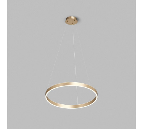 Подвесной светильник Denkirs RAYDIA DK6273-SG
