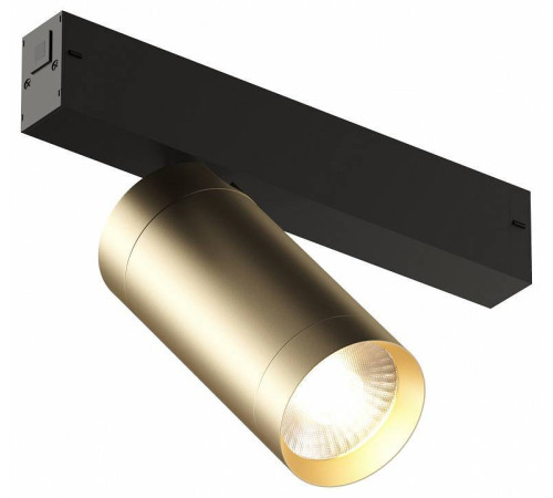 Светильник на штанге Denkirs Smart DK8020-BG