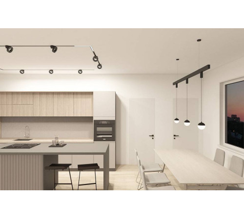 Подвесной светильник Denkirs SMART MOON DK8056-BK