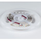 Лента светодиодная DesignLed DSG2196 00-00000528