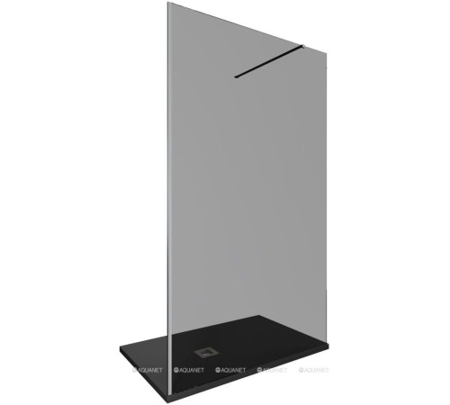Душевая перегородка Allen Brau INFINITY 1 Walk-in 1600 мм тонир. серебро браш 3.21032.BA.T