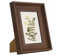 Фоторамка настольная Eglo Renabie 423003