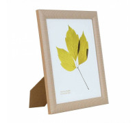 Фоторамка настольная Eglo Renabie 423094