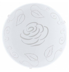 Накладной светильник Eglo ПРОМО Mars 1 89238