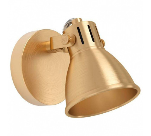 Спот Eglo Seras 900169