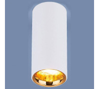 Накладной светильник Elektrostandard DLR030 a040669