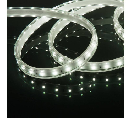 Лента светодиодная Elektrostandard LS014 220V a053638