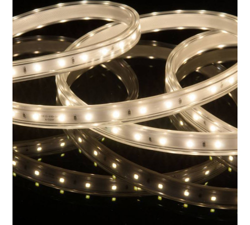 Лента светодиодная Elektrostandard LS015 220V a053639