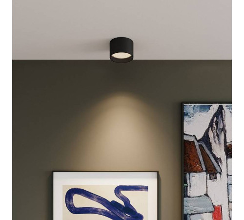 Накладной светильник Elektrostandard Banti a063929