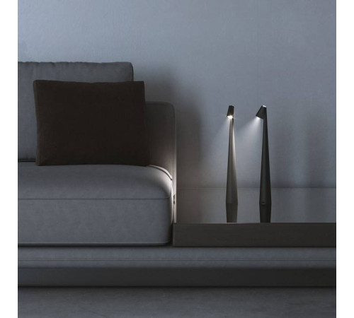 Настольная лампа декоративная Elektrostandard Elite Elite черный (TL70250)