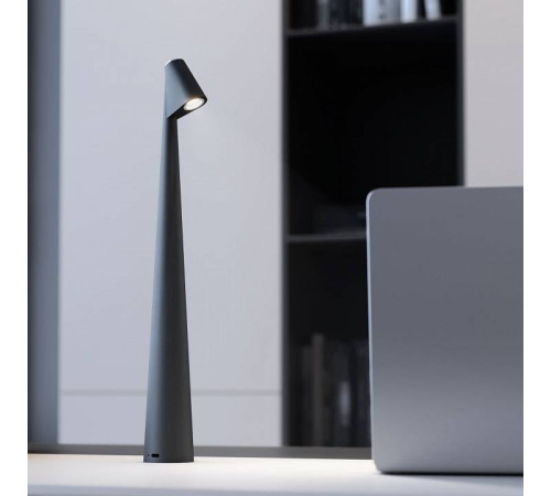 Настольная лампа декоративная Elektrostandard Elite Elite черный (TL70250)