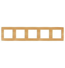Рамка на 5 постов Эра Эра 12 12-5005-11