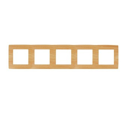 Рамка на 5 постов Эра Эра 12 12-5005-11