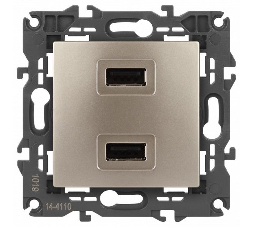 Розетка 2хUSB type A без рамки Эра Эра Elegance 14-4110-04