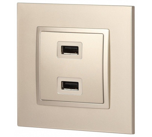Розетка 2хUSB type A без рамки Эра Эра Elegance 14-4110-04