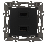 Розетка 2хUSB type A без рамки Эра Эра Elegance 14-4110-05