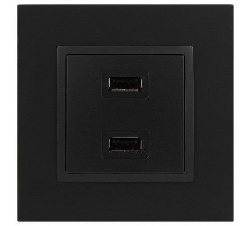 Розетка 2хUSB type A без рамки Эра Эра Elegance 14-4110-05