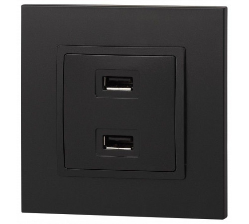 Розетка 2хUSB type A без рамки Эра Эра Elegance 14-4110-05
