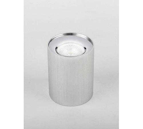 Накладной светильник Эра OL1 GU10 SL/CH