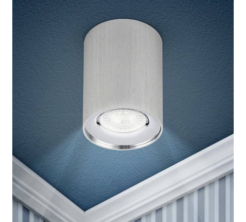 Накладной светильник Эра OL1 GU10 SL/CH