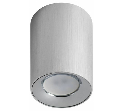 Накладной светильник Эра OL1 GU10 SL/CH