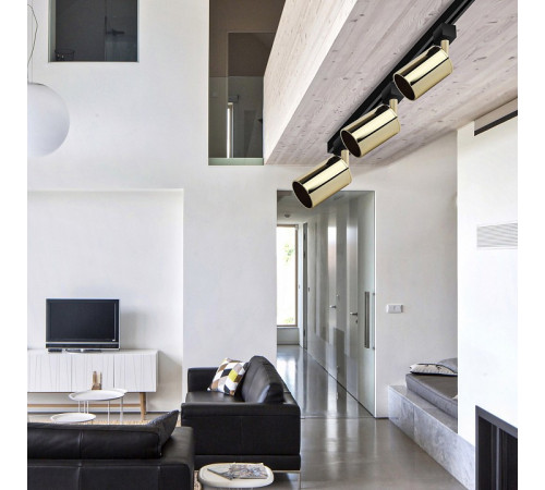 Светильник на штанге ЭРА TR14-GU10 GD