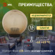 Консольный светильник Эра НТУ 02-60-203