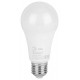 Лампа светодиодная Эра LED A65-20W-840-E27 R