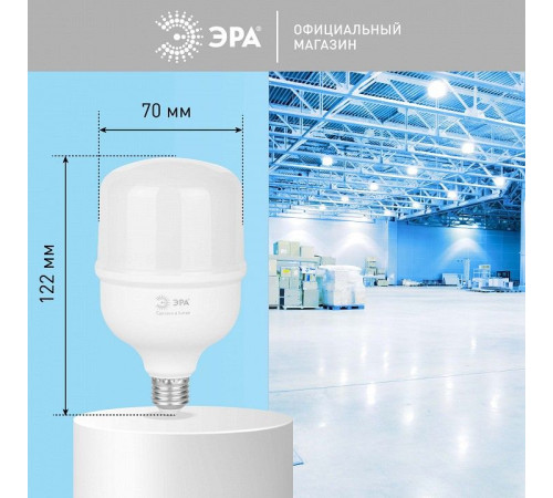 Лампа светодиодная Эра LED POWER T70-25W-6500-E27 R