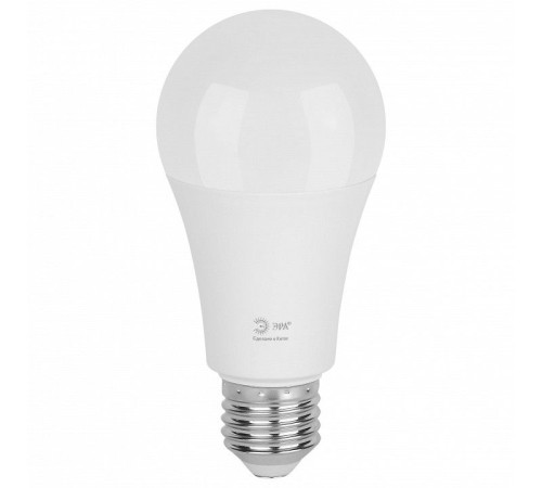 Лампа светодиодная Эра Green Line LED A60-25W-865-E27 GL