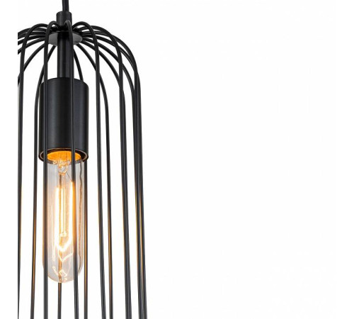 Подвесной светильник Escada Phoenix 10198/1S